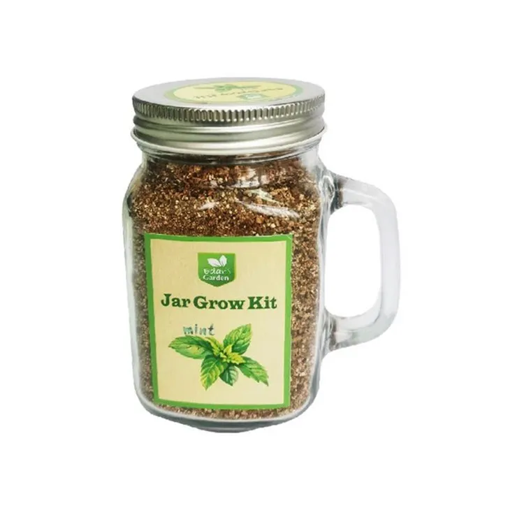 Grow Kit in Mason Glass Jar